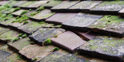 Beckley Furnace roof repair costs